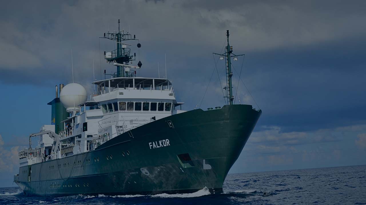 Header Oceânico Modelo